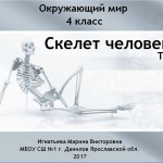 Тест "Скелет человека"
